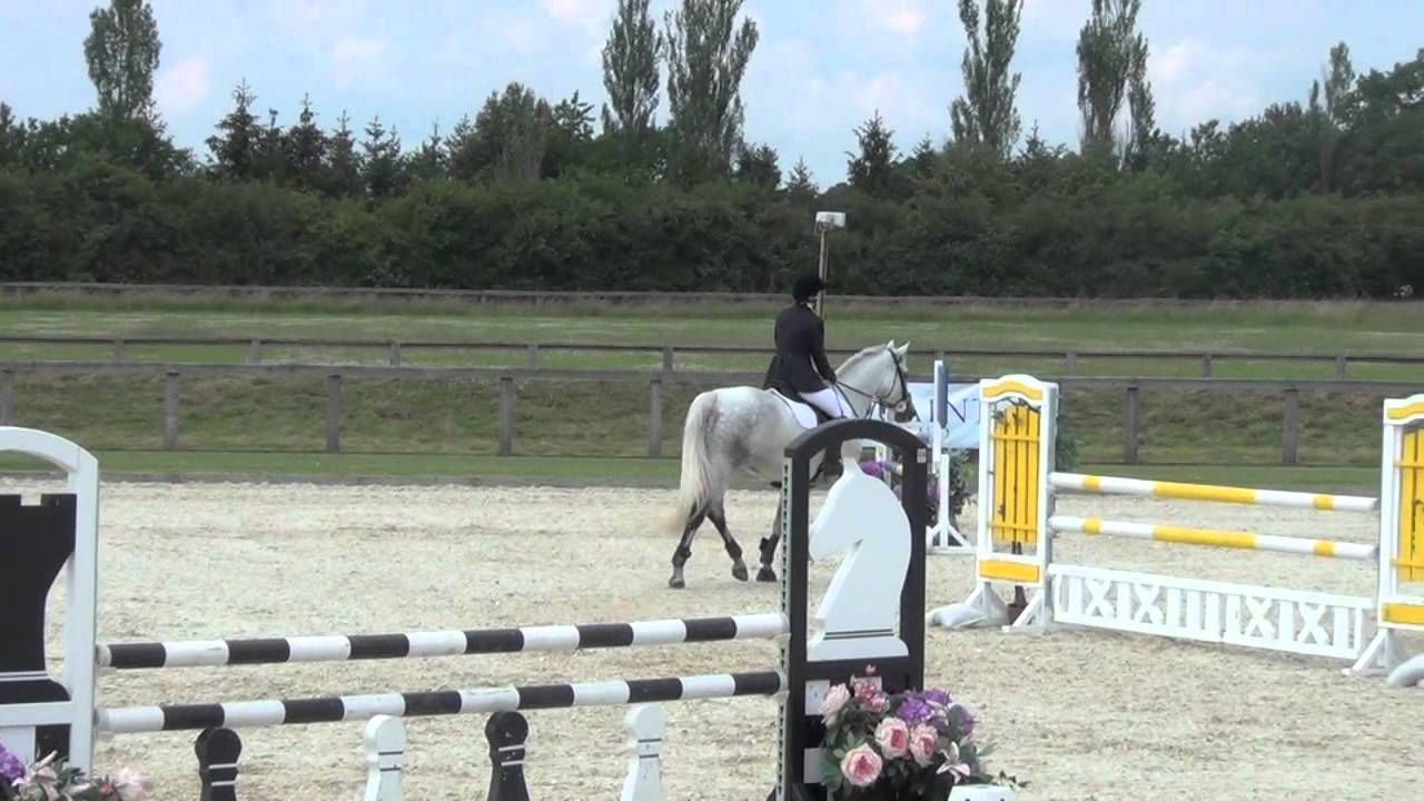 Horse Jumping Videos
